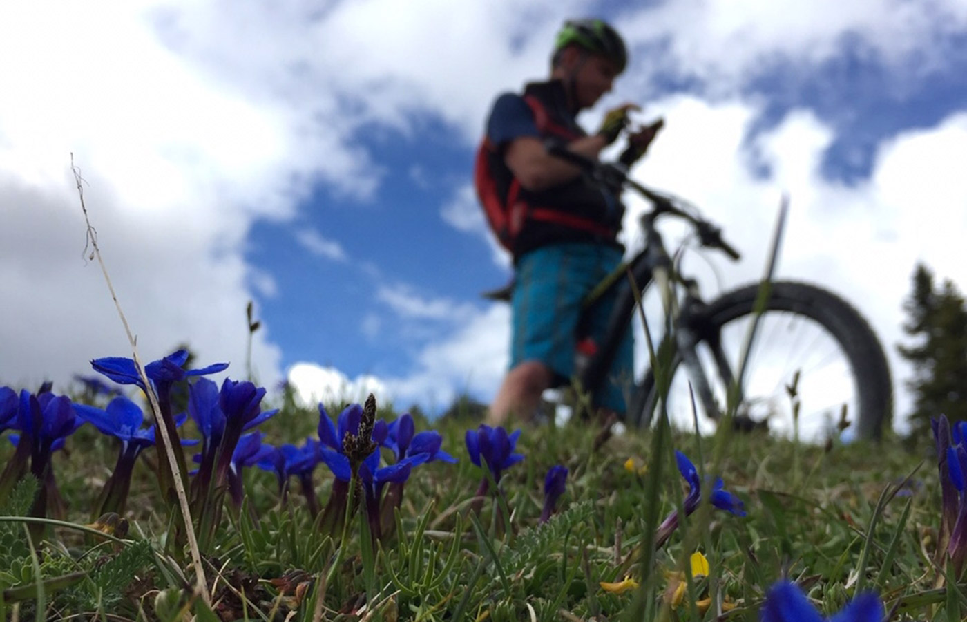 Un Mountainbiker su un prato di montagna